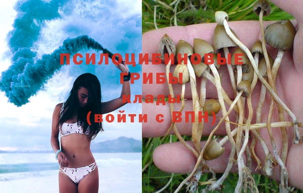 mdma Карталы