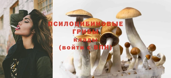 mdma Карталы