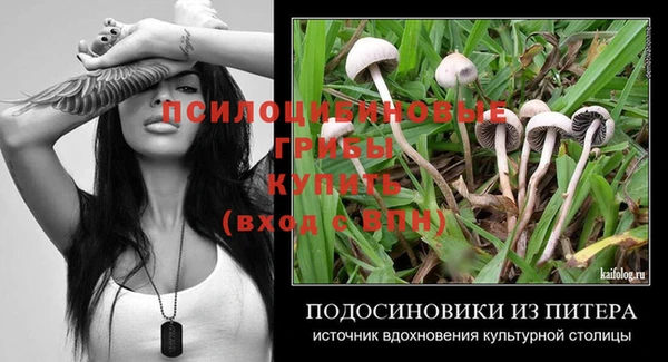 гидропоника Карпинск