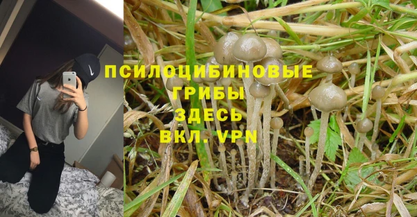 гидропоника Карпинск